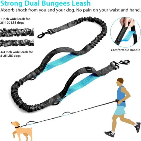 Hands Free Dog Running Leash with Zipper Pouch, Dual Handle, Elastic Bungees - Picture 4 of 7